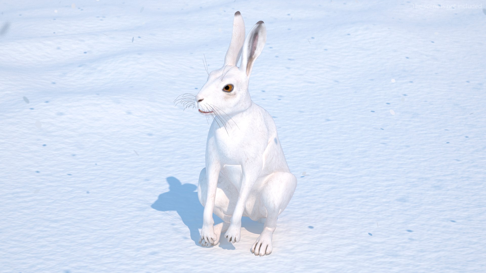 White Hare  Animated 3D https://p.turbosquid.com/ts-thumb/VJ/wCghqA/U1/whitehareanimatedc4dmodel003/jpg/1721620422/1920x1080/fit_q87/7026a7c9527b9c41ea4da8dad2f7f8ac74b0958e/whitehareanimatedc4dmodel003.jpg