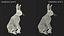 White Hare  Animated Rigged