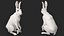 White Hare  Animated Rigged