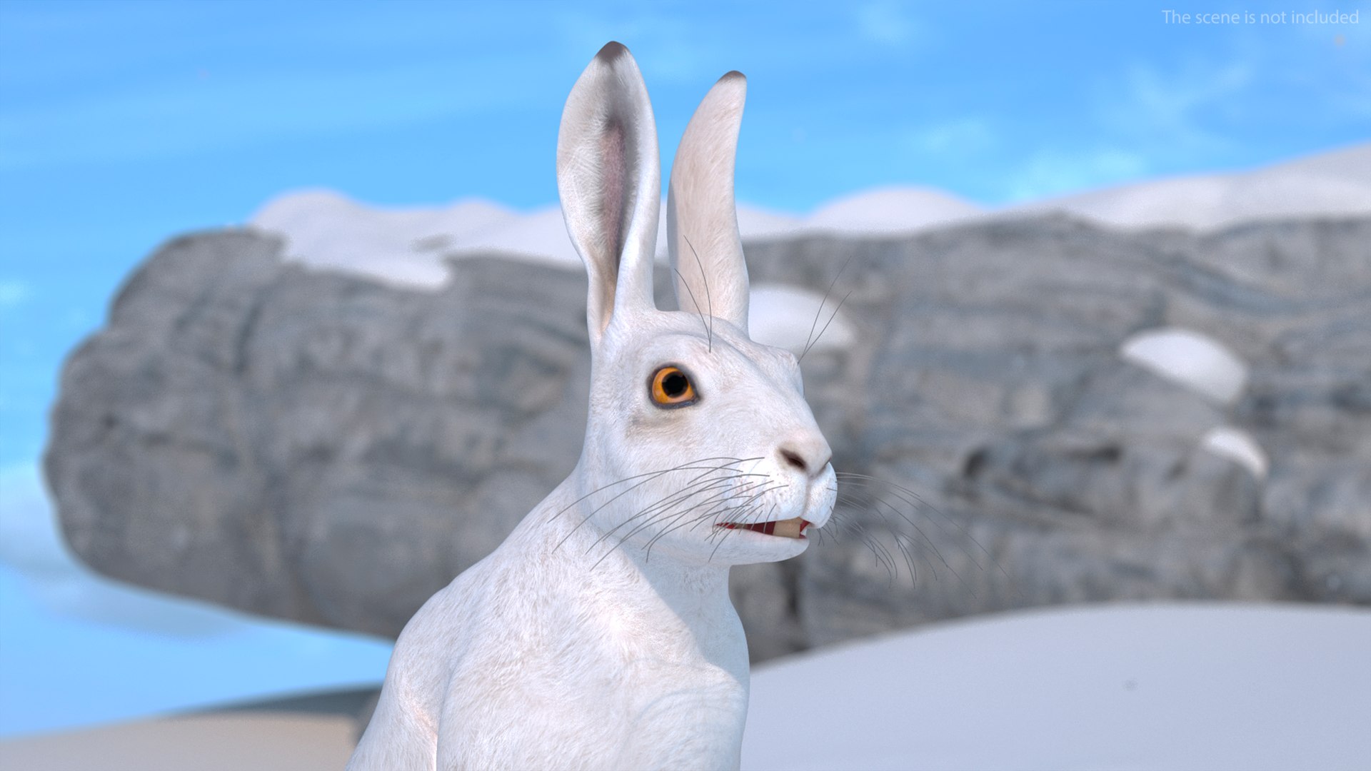 White Hare  Animated 3D https://p.turbosquid.com/ts-thumb/VJ/wCghqA/jA/whitehareanimatedc4dmodel007/jpg/1721620445/1920x1080/fit_q87/d1bf0c1b4f42b0ad4195805fca6364bf68a99db0/whitehareanimatedc4dmodel007.jpg