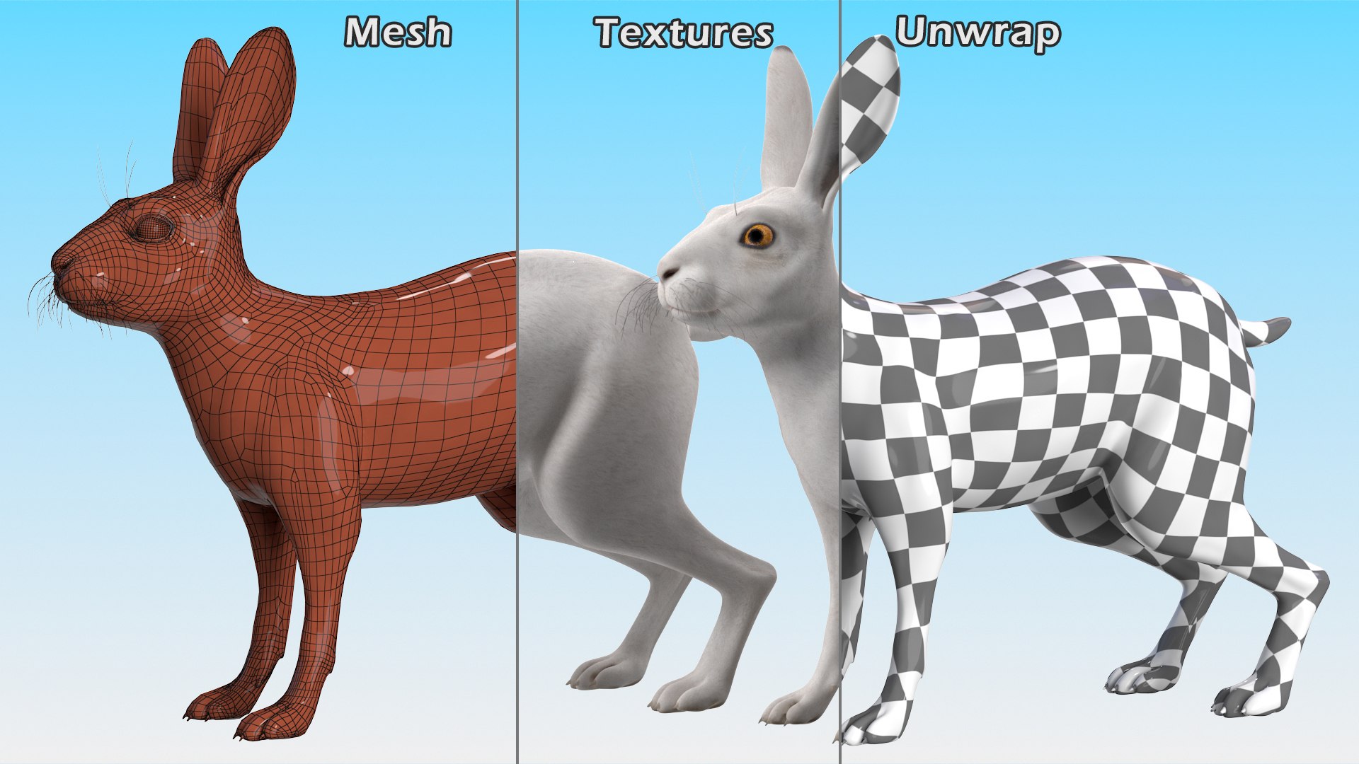 White Hare  Animated 3D https://p.turbosquid.com/ts-thumb/VJ/wCghqA/jl/whitehareanimatedc4dmodel017/jpg/1721620483/1920x1080/fit_q87/db4d349f855384aec1931ce3a589ab8e3f00ba85/whitehareanimatedc4dmodel017.jpg