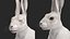 White Hare  Animated Rigged