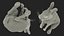 White Hare  Animated Rigged
