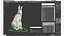 White Hare  Animated Rigged