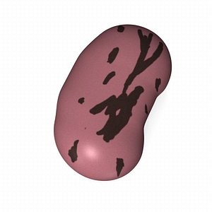 bean