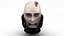 Vader Head