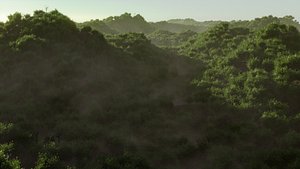 trees forest 3D model