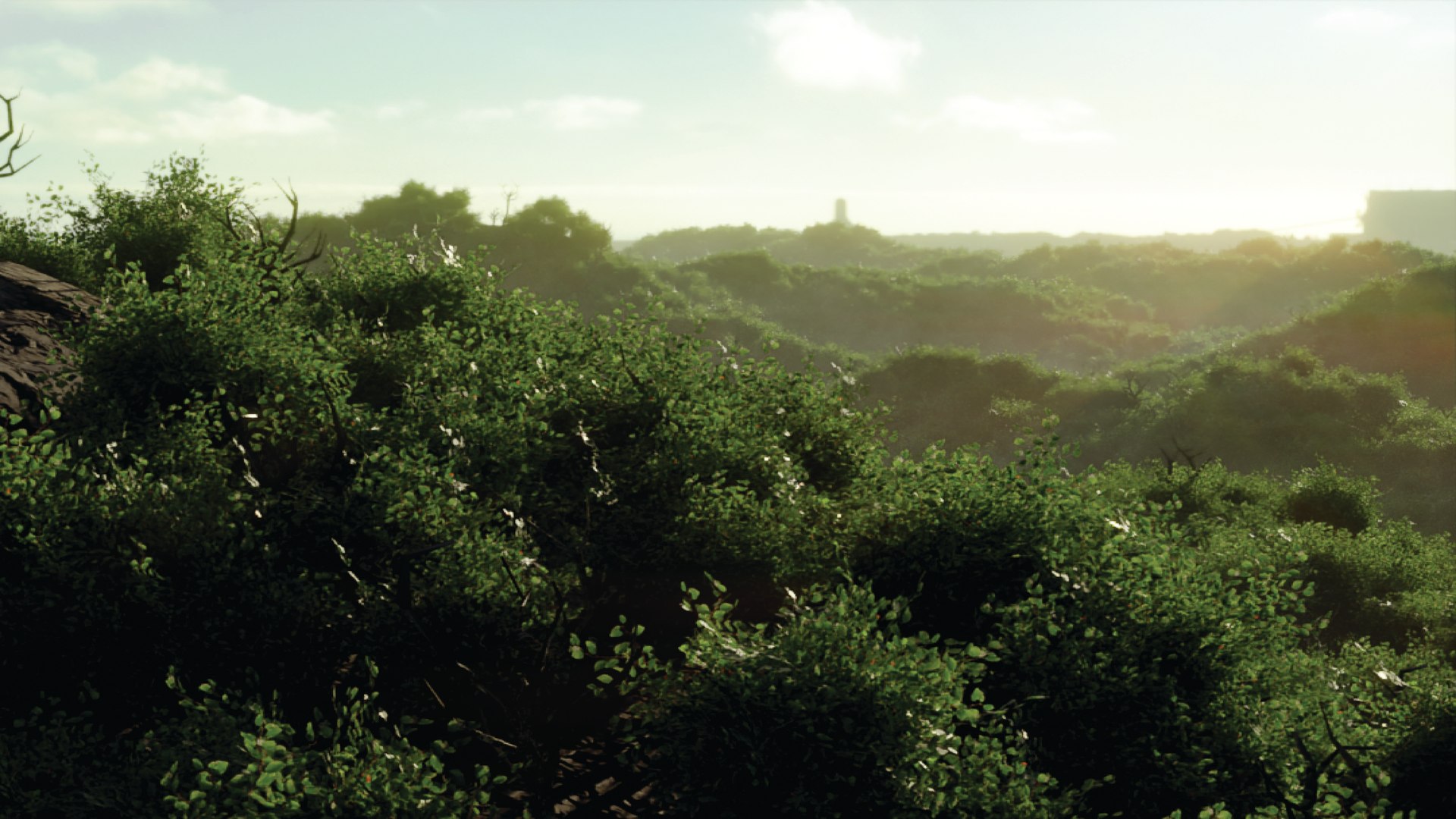 trees forest 3D model https://p.turbosquid.com/ts-thumb/VK/7mQyAI/mw/untitled3/jpg/1611608293/1920x1080/fit_q87/173c44630f2486896288fc69b3a1f462972260b8/untitled3.jpg