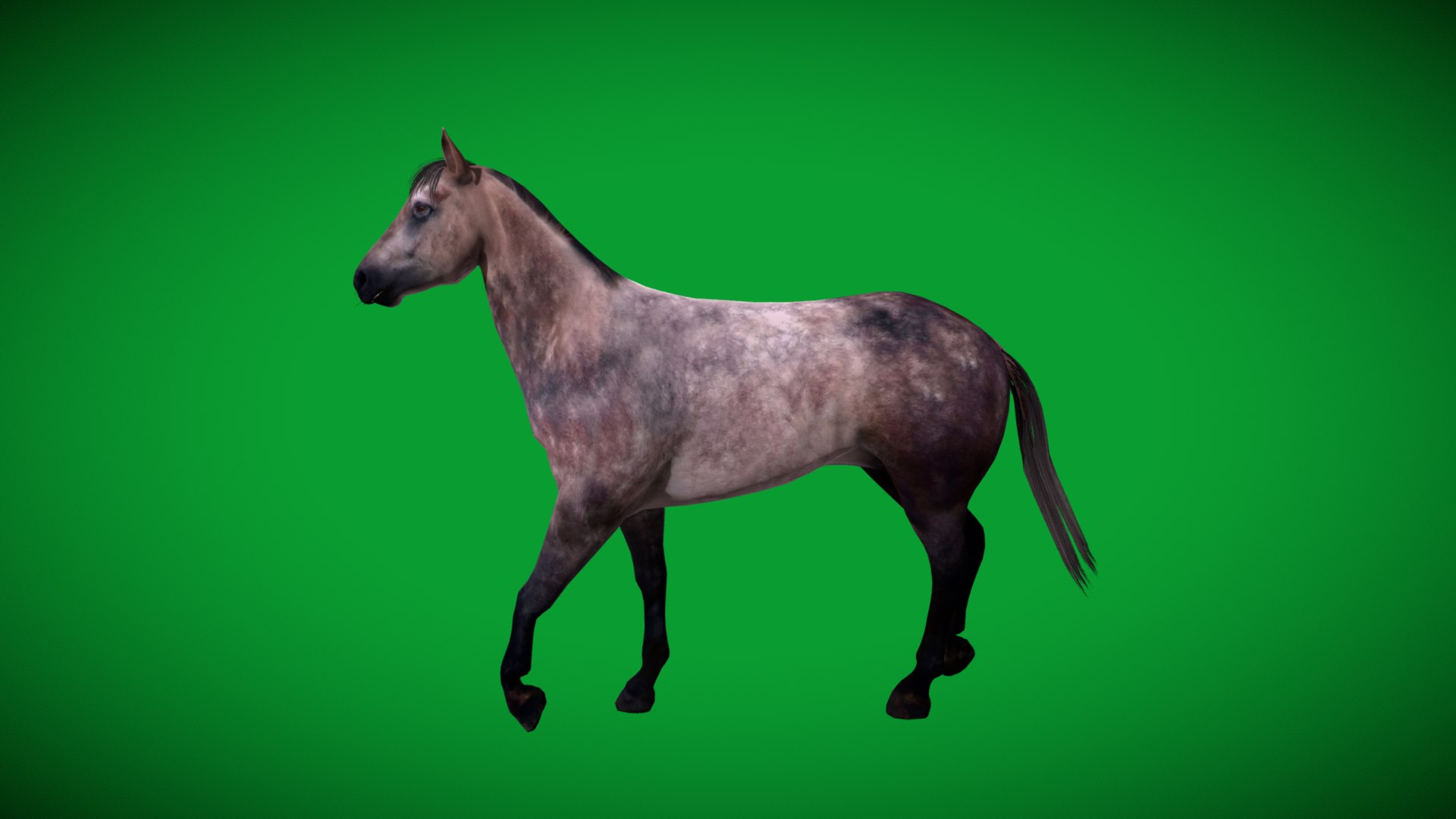 3D Anglo European Horse https://p.turbosquid.com/ts-thumb/VK/DHz46S/Jv/anglo_eu_horse7/png/1762422417/1920x1080/fit_q87/9d17fc1d209f1ac52367908e0d80ed368fe79ff8/anglo_eu_horse7.jpg
