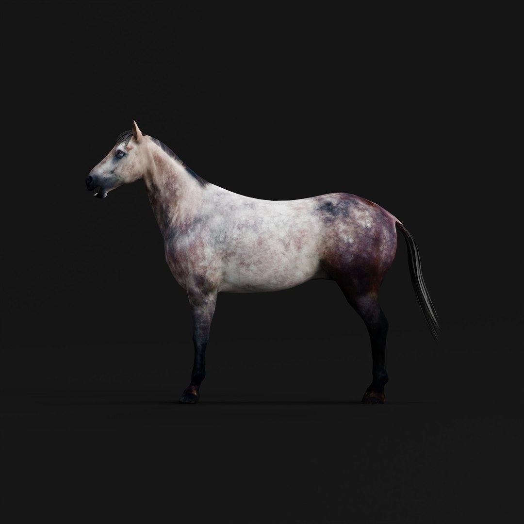 3D Anglo European Horse https://p.turbosquid.com/ts-thumb/VK/DHz46S/Rb/angloeuropeanhorserigao_0002/jpg/1762421415/1920x1080/fit_q87/21cf080b0e0df70f42969d5a54456823eda89962/angloeuropeanhorserigao_0002.jpg