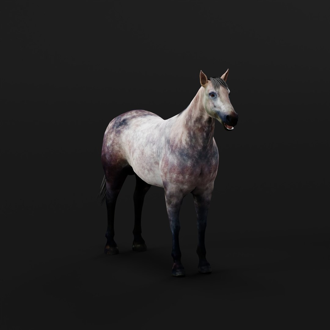 3D Anglo European Horse https://p.turbosquid.com/ts-thumb/VK/DHz46S/Zo/angloeuropeanhorserigao/jpg/1762421407/1920x1080/fit_q87/6cebd1261542f3d26d1b9a47c78542396f4b18aa/angloeuropeanhorserigao.jpg