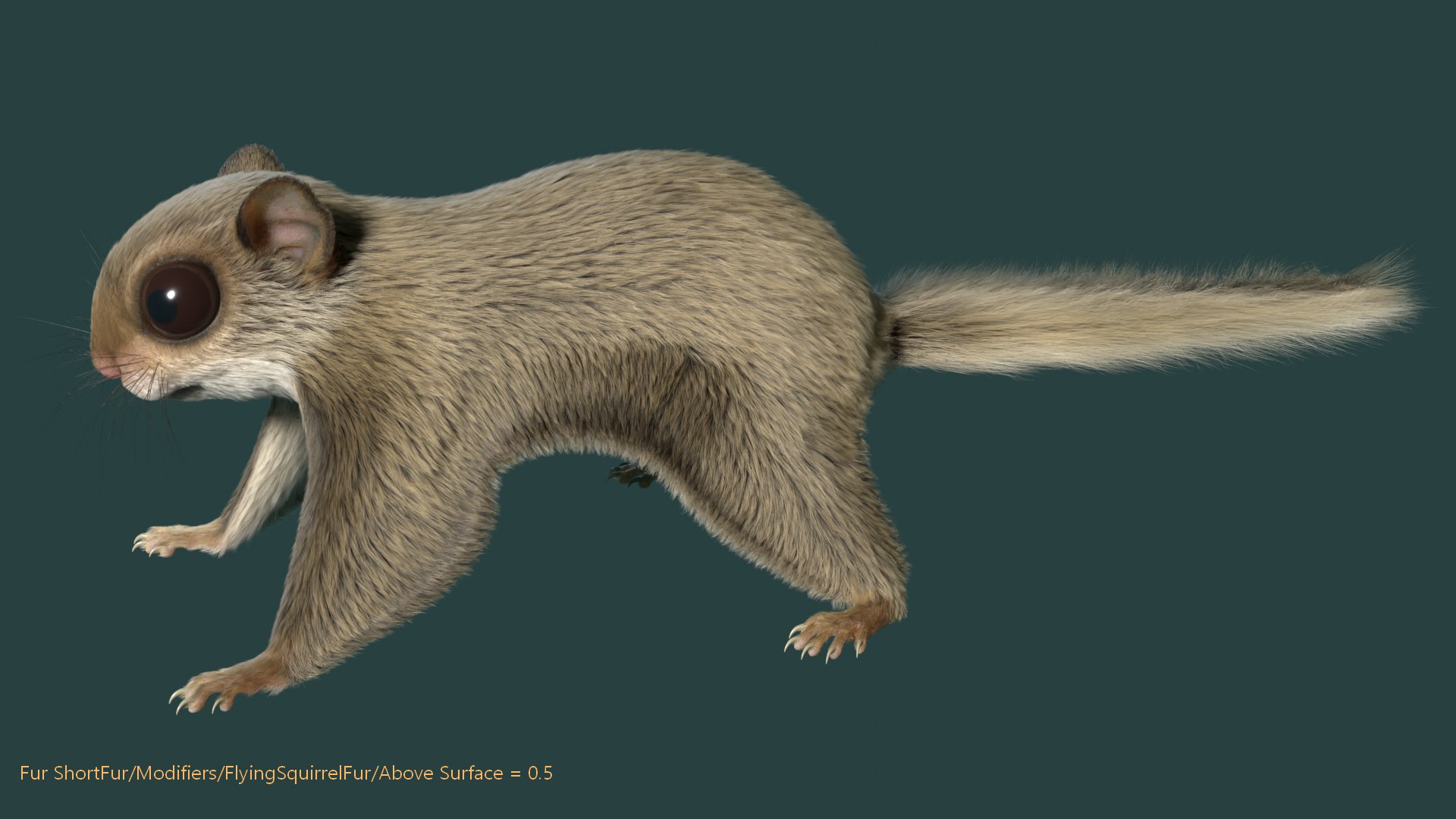 3D Flying Squirrel https://p.turbosquid.com/ts-thumb/VK/E8psRh/8R/flyingsqurrelimage9/png/1724659435/1920x1080/fit_q87/ff23684f74bf57f7af0cb45abe1288d646c3ec0e/flyingsqurrelimage9.jpg