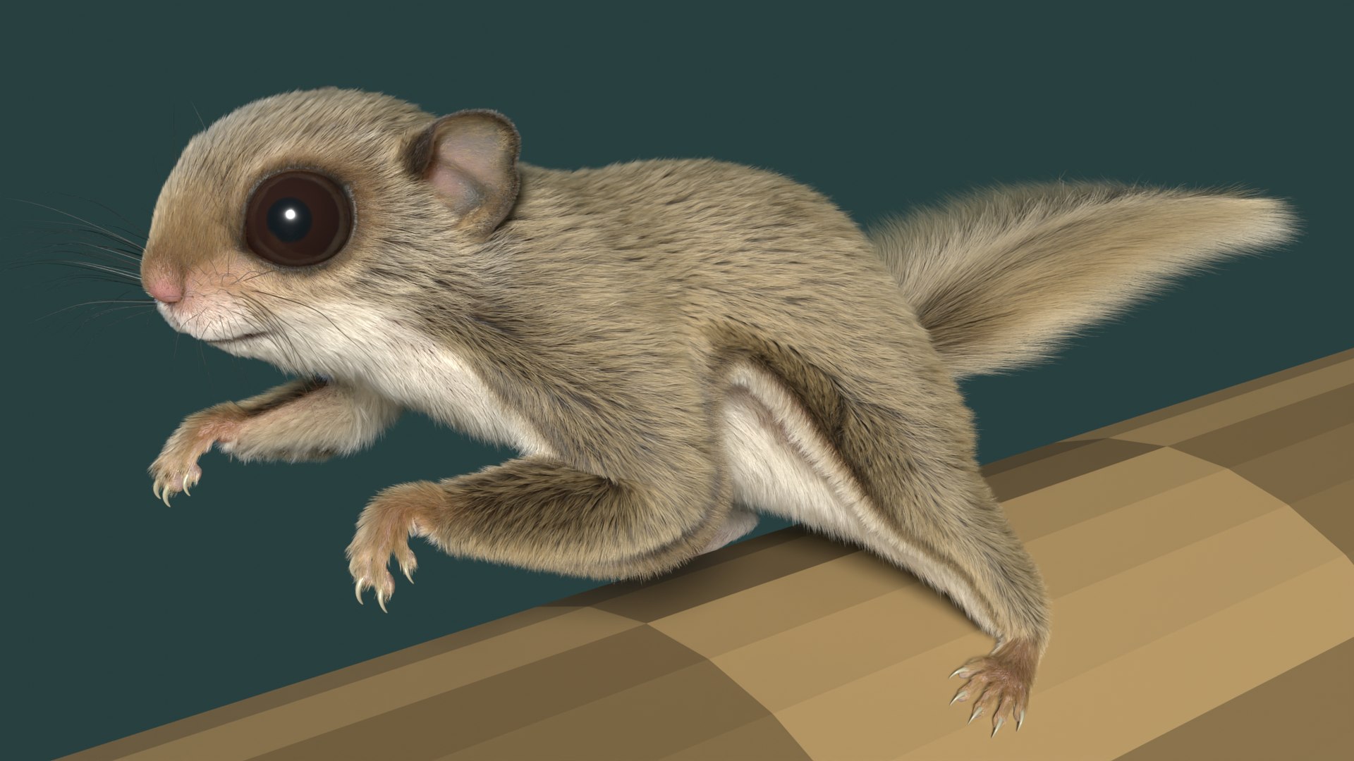 3D Flying Squirrel https://p.turbosquid.com/ts-thumb/VK/E8psRh/AN/flyingsqurrelimage14/png/1724659437/1920x1080/fit_q87/85455681358f50b7ce543d958fc066cced162ef7/flyingsqurrelimage14.jpg