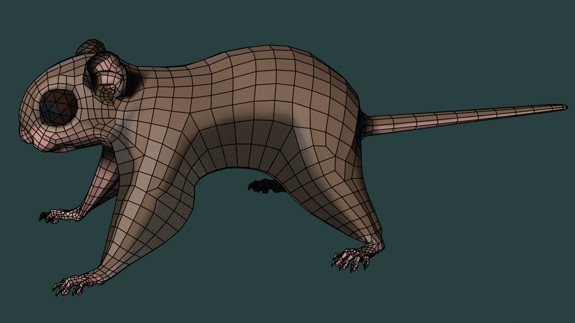 3D Flying Squirrel https://p.turbosquid.com/ts-thumb/VK/E8psRh/DA/flyingsqurrelwire0/png/1724659515/1920x1080/fit_q87/1a7c14228730c319b5af4ac2c5f7beddc51f812d/flyingsqurrelwire0.jpg