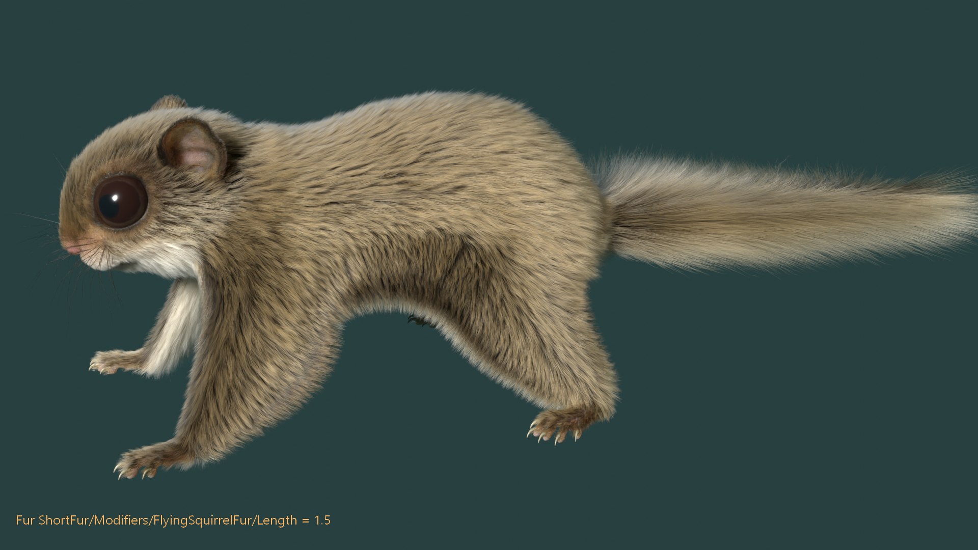 3D Flying Squirrel https://p.turbosquid.com/ts-thumb/VK/E8psRh/GP/flyingsqurrelimage8/png/1724659383/1920x1080/fit_q87/c77289dec5ad715aae0ce70ee6a53000900ed57d/flyingsqurrelimage8.jpg