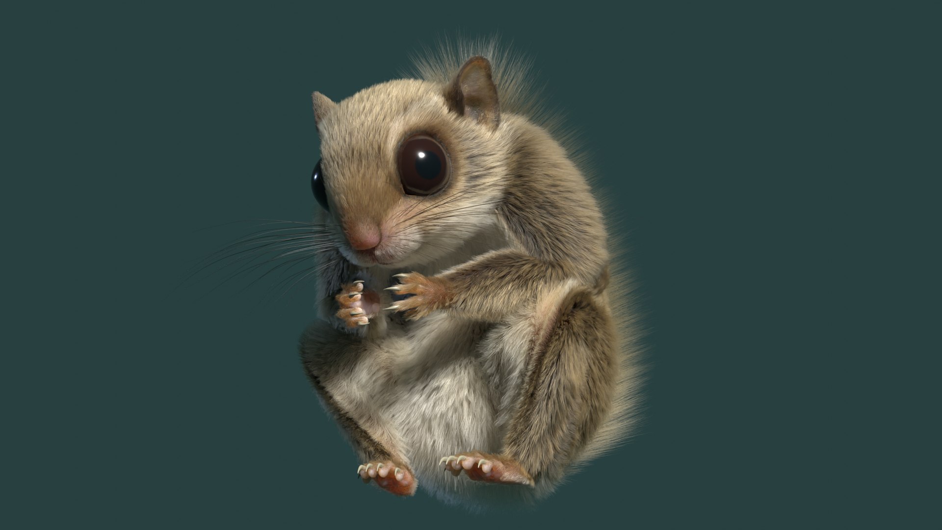 3D Flying Squirrel https://p.turbosquid.com/ts-thumb/VK/E8psRh/SE/flyingsqurrelimage17/png/1724659439/1920x1080/fit_q87/92ffc69373d8be6bba5c45e8a655a1c4b23035bd/flyingsqurrelimage17.jpg