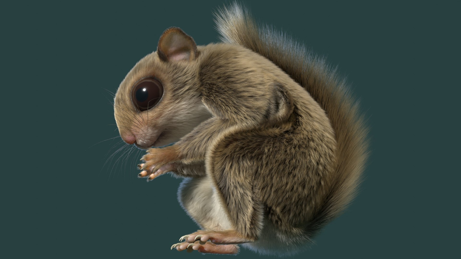 3D Flying Squirrel https://p.turbosquid.com/ts-thumb/VK/E8psRh/fx/flyingsqurrelimage18/png/1724659439/1920x1080/fit_q87/d6bd67e785332c0839e4b3c4f4ac283d8fcab3d5/flyingsqurrelimage18.jpg