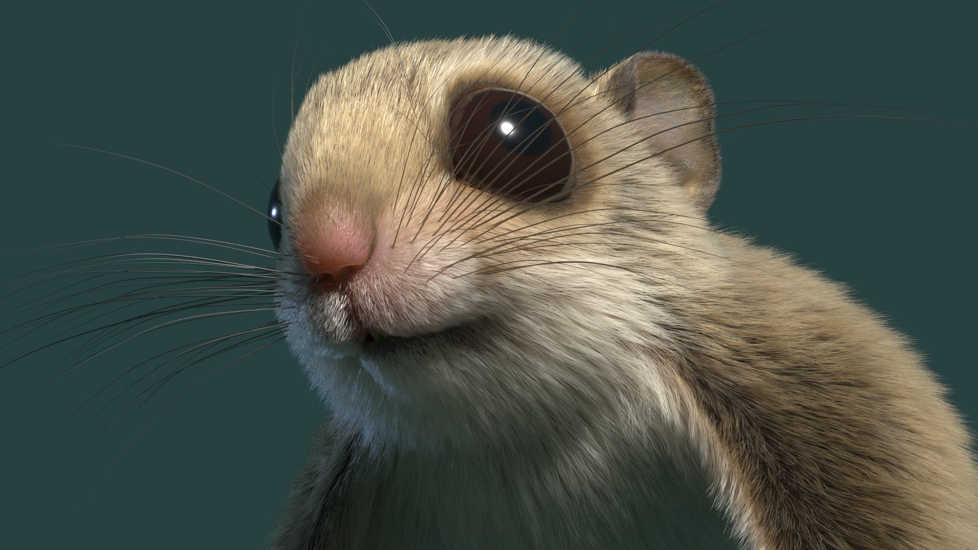 3D Flying Squirrel https://p.turbosquid.com/ts-thumb/VK/E8psRh/rG/flyingsqurrelimage15/png/1724659438/1920x1080/fit_q87/eec86c817ff1b4cd4c80b182f27285926f069146/flyingsqurrelimage15.jpg