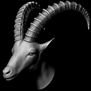 3D model goat head