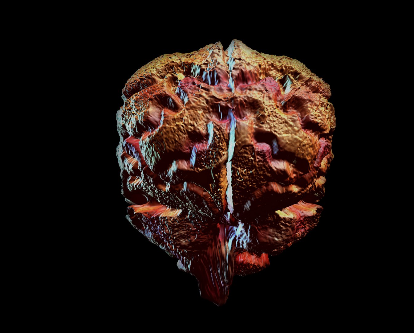 3ds brain https://p.turbosquid.com/ts-thumb/VK/Ip1MCz/NYcAf4xL/otak1copy/jpg/1402841533/1920x1080/fit_q87/10dd1d6a4f2ed17620180420fb0c17a8dd7e3c0c/otak1copy.jpg