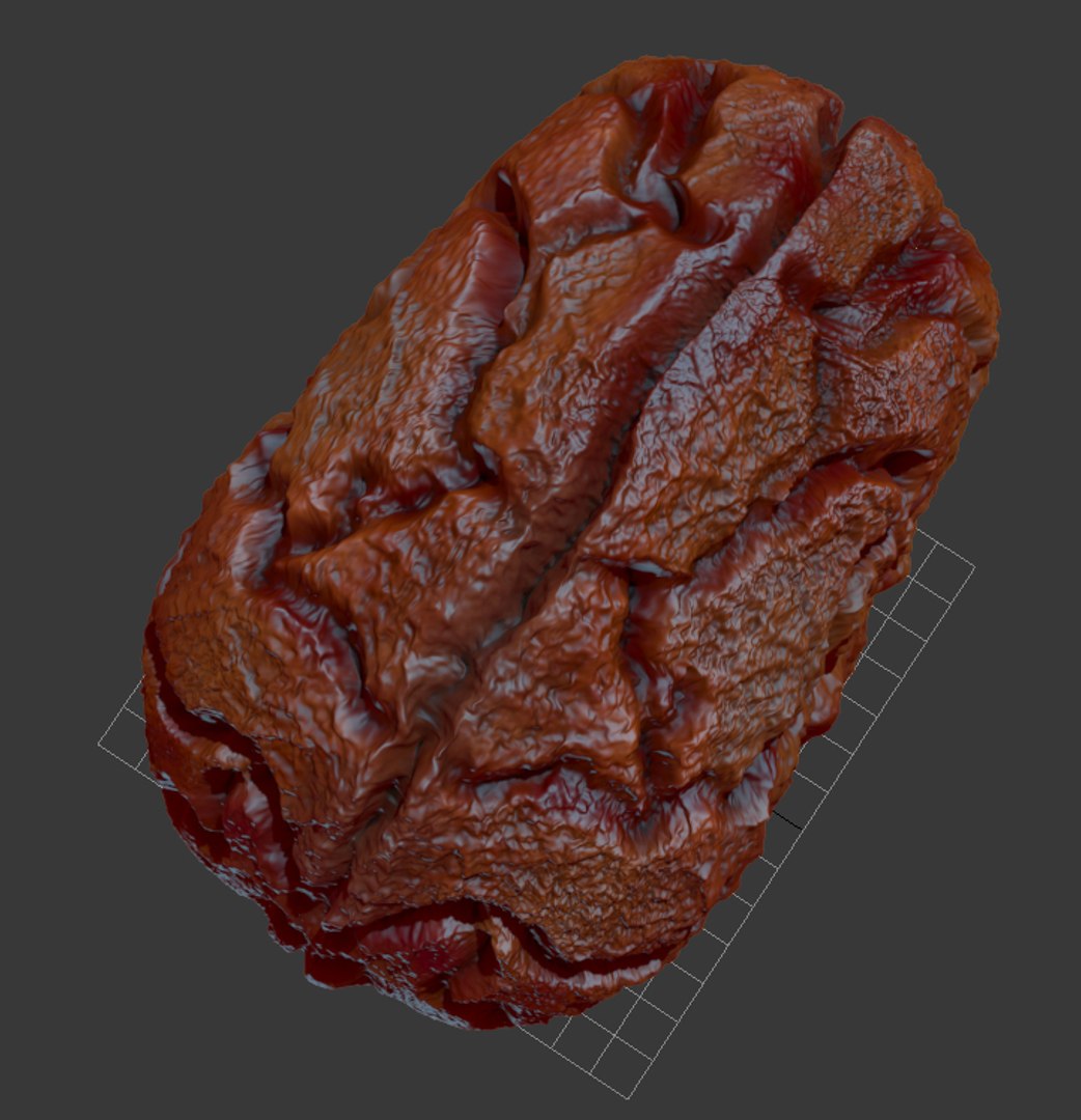 3ds brain https://p.turbosquid.com/ts-thumb/VK/Ip1MCz/VI2rj1kR/brain2/jpg/1402843274/1920x1080/fit_q87/43b3f58bccd9854b53dd8adf5cf715a64c25ebe3/brain2.jpg