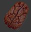 Brain