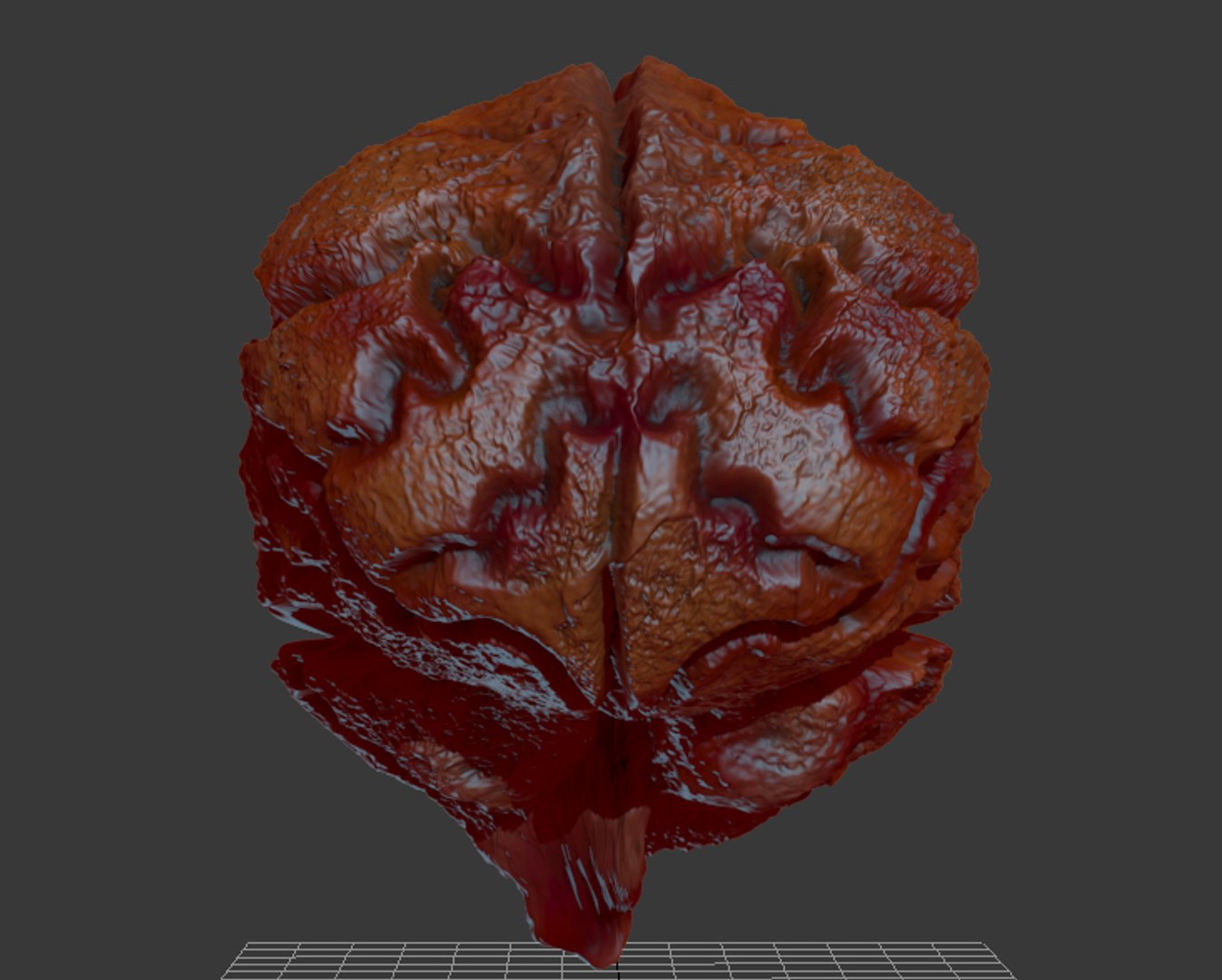 3ds brain https://p.turbosquid.com/ts-thumb/VK/Ip1MCz/z5O9RHok/brain3/jpg/1402843274/1920x1080/fit_q87/b05f047707b5180bd2bd386b39ece4d14d424435/brain3.jpg