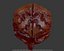 Brain