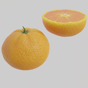 3D Realistic Mandarin