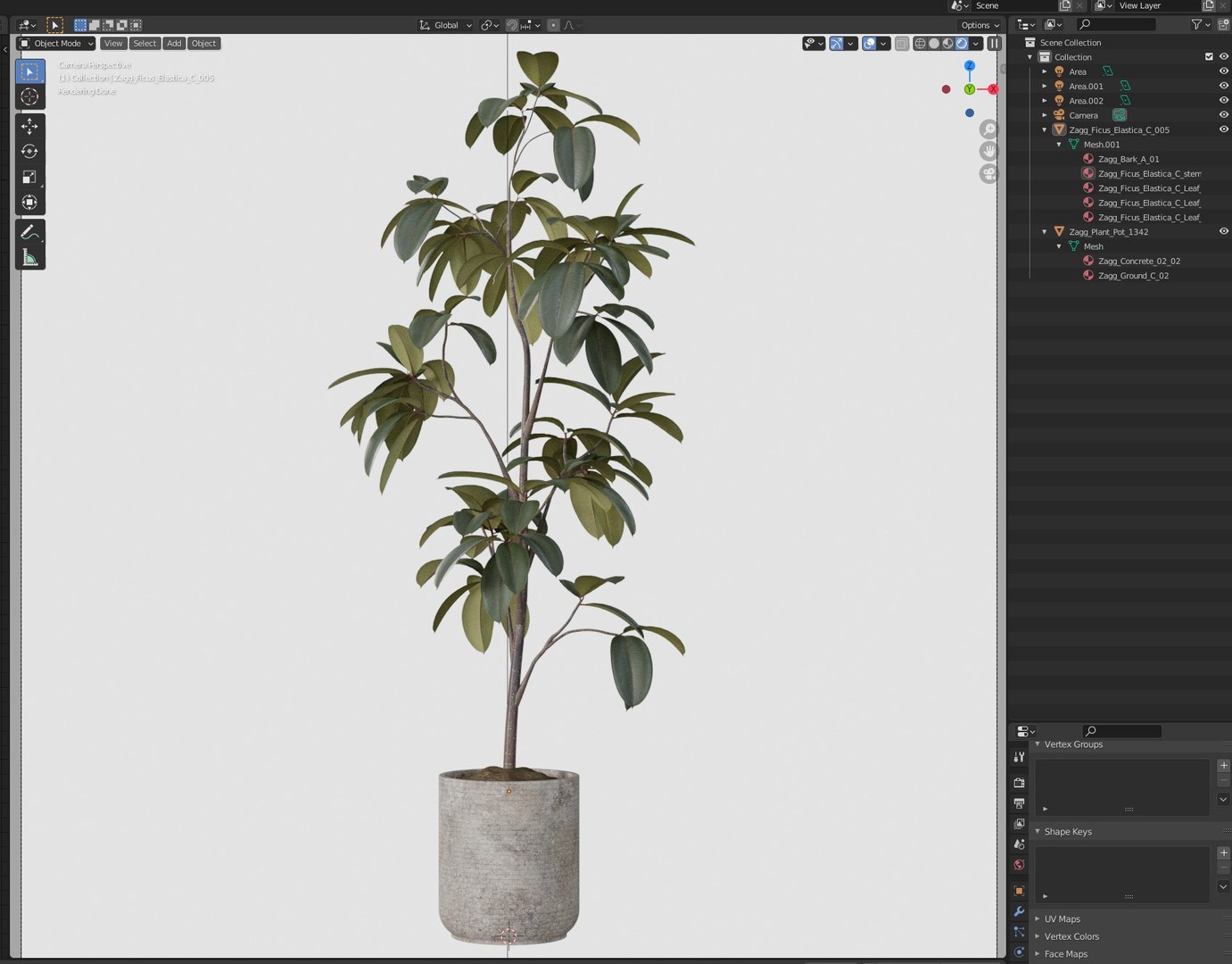 3D Plant 1342 https://p.turbosquid.com/ts-thumb/VK/SuEnNz/L2/plant_1342_06/jpg/1780996943/1920x1080/fit_q87/56de263459d6e396fdc9a7f0447be5cc04a235df/plant_1342_06.jpg