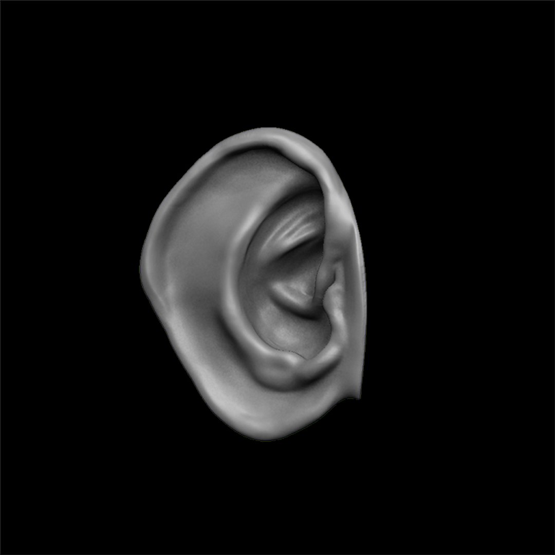 3D Ears Human Creature - TurboSquid 1418760