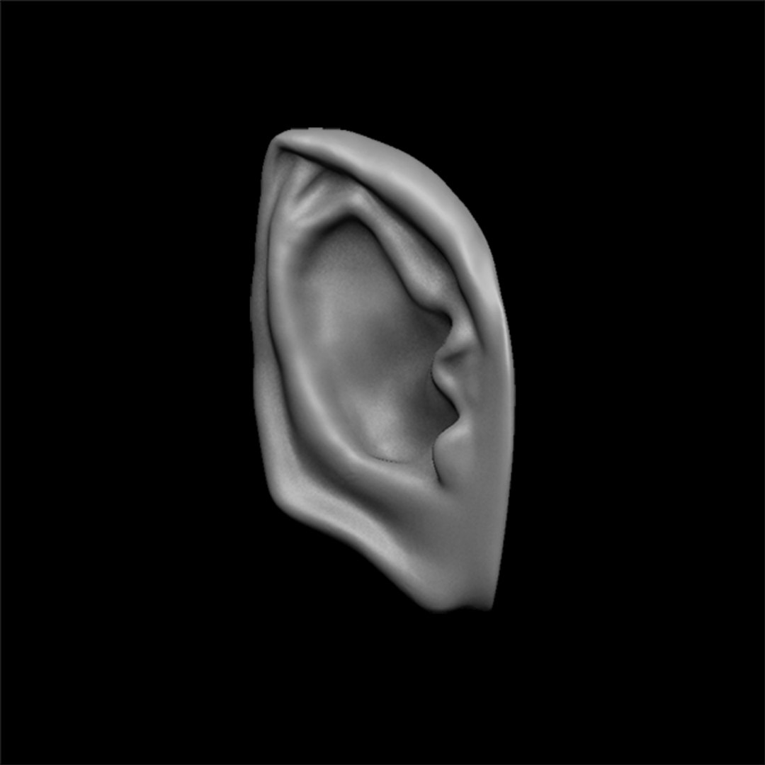 3d Ears Human Creature - Turbosquid 1418760