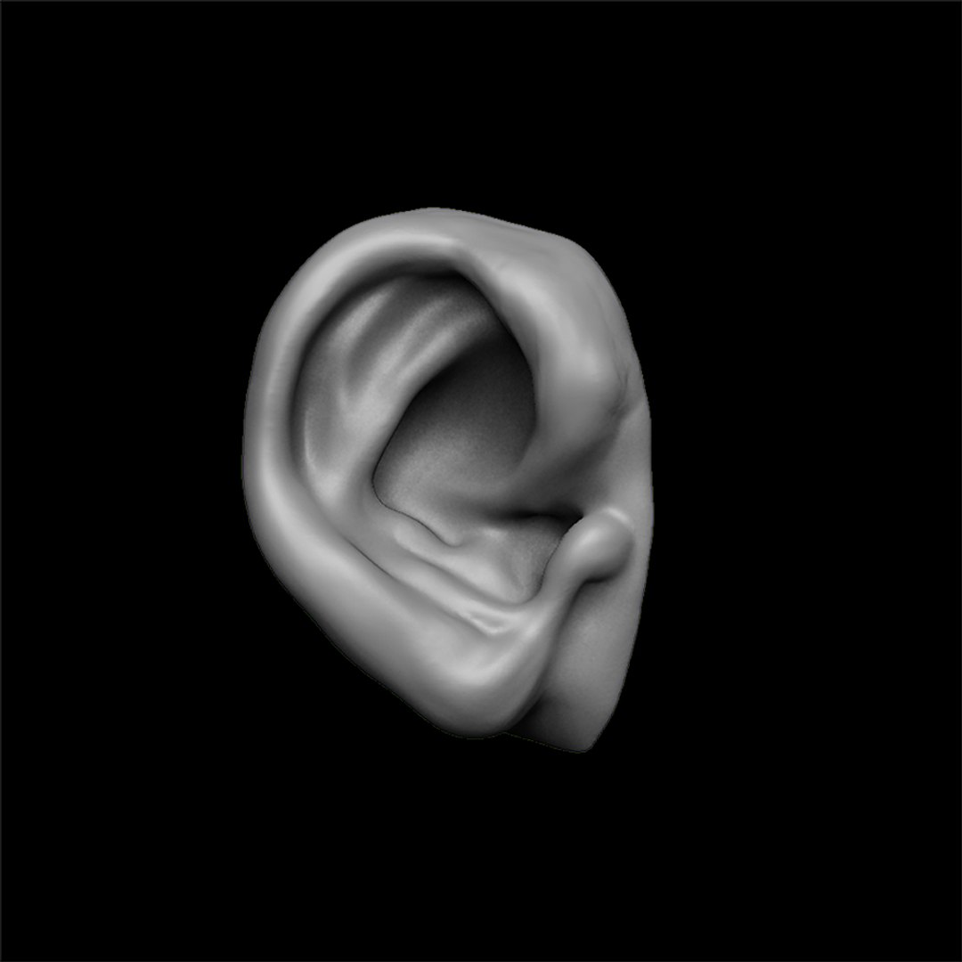 3D Ears Human Creature - TurboSquid 1418760