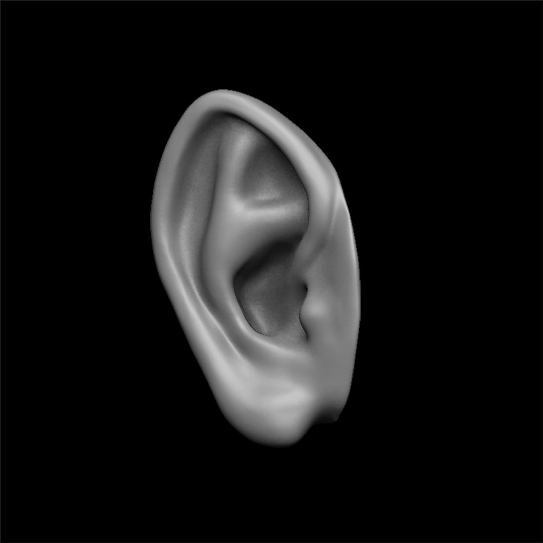 3D ears human creature - TurboSquid 1418760