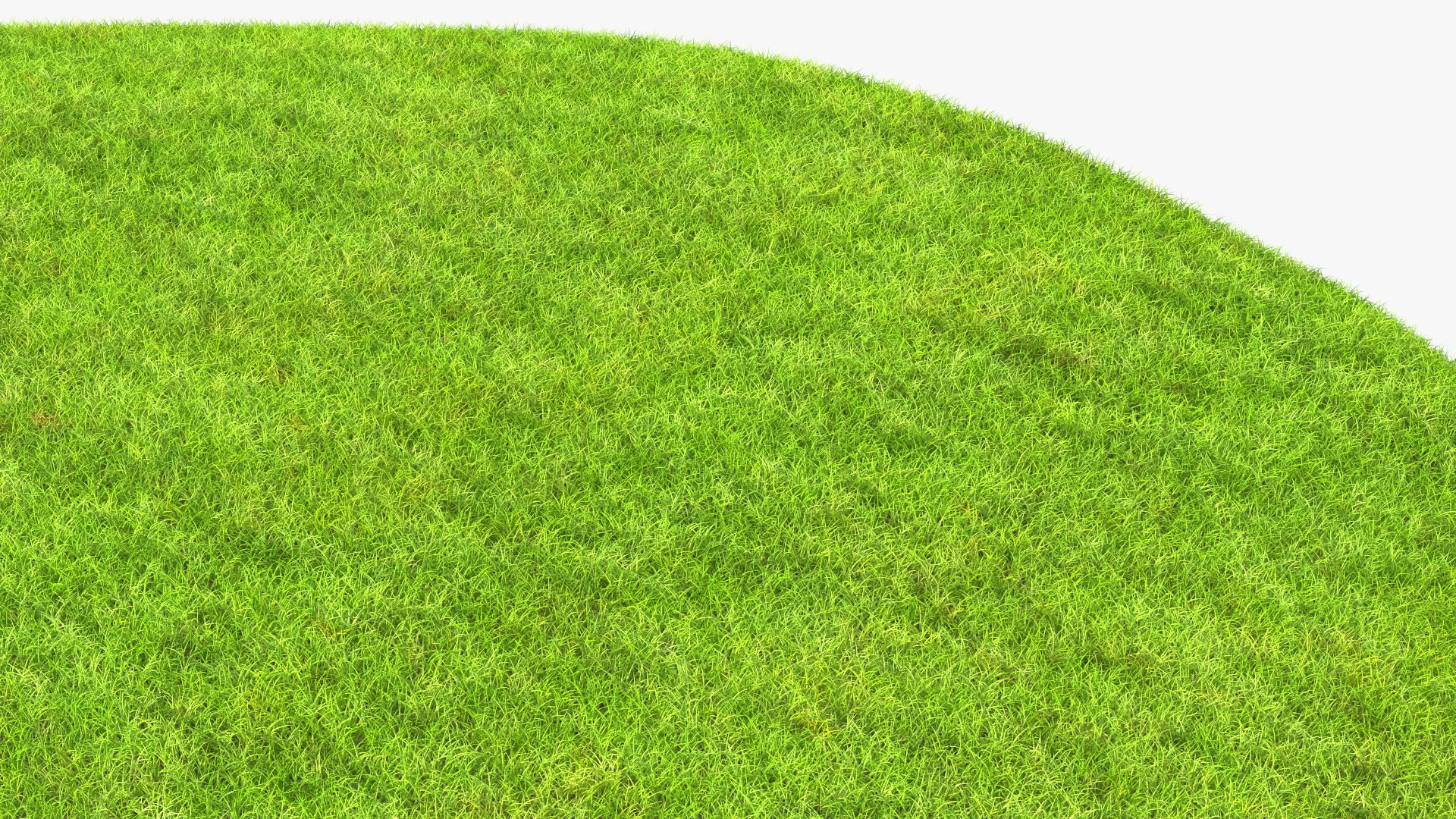 3D Round Soil Ground Cross Section with Green Grass Fur model https://p.turbosquid.com/ts-thumb/VK/abm6Mk/1z/roundsoilgroundcrosssectionwithgreengrassfur3dmodel015/jpg/1640101357/1920x1080/fit_q87/0e3122d79beb7a15eacfa09349183473d47d7018/roundsoilgroundcrosssectionwithgreengrassfur3dmodel015.jpg