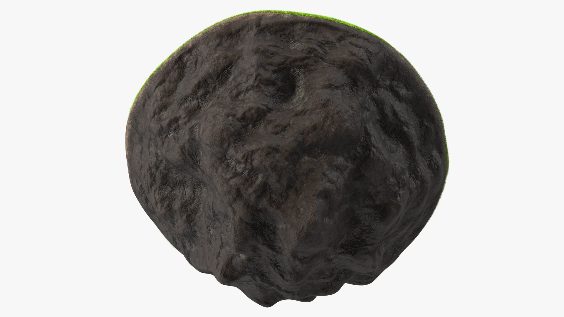 3D Round Soil Ground Cross Section with Green Grass Fur model https://p.turbosquid.com/ts-thumb/VK/abm6Mk/jy/roundsoilgroundcrosssectionwithgreengrassfur3dmodel010/jpg/1640101342/1920x1080/fit_q87/675d82201f5595ce1a44609dbf6d4046c6ace3d3/roundsoilgroundcrosssectionwithgreengrassfur3dmodel010.jpg