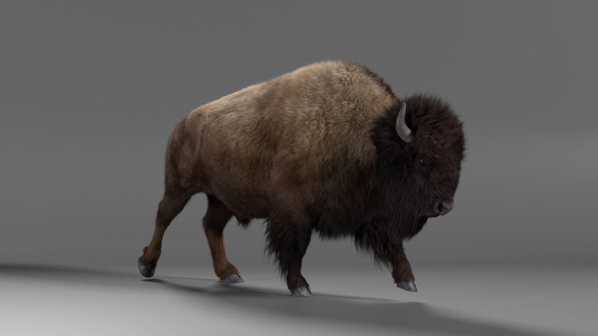 Bison Male 3D Model - TurboSquid 1626853
