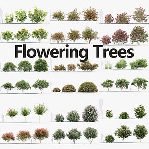 3D Package 09 Flowering Trees Collection model