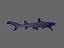 whitetip reef shark 3D model