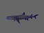 whitetip reef shark 3D model