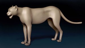 3D Cheetah Base Mesh 3D model model