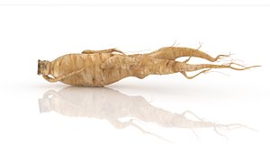 Ginseng root Low Poly