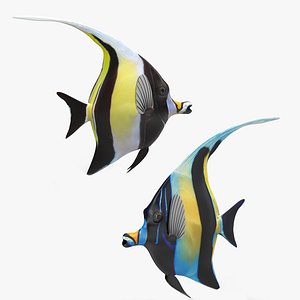 Moorish Idol Rigged Collection