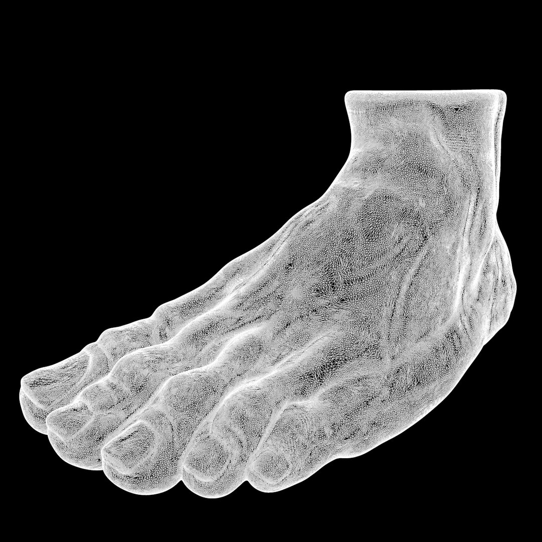 Foot 3D Model - TurboSquid 1378356