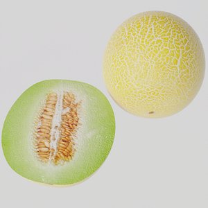 3D Honeydew Melon