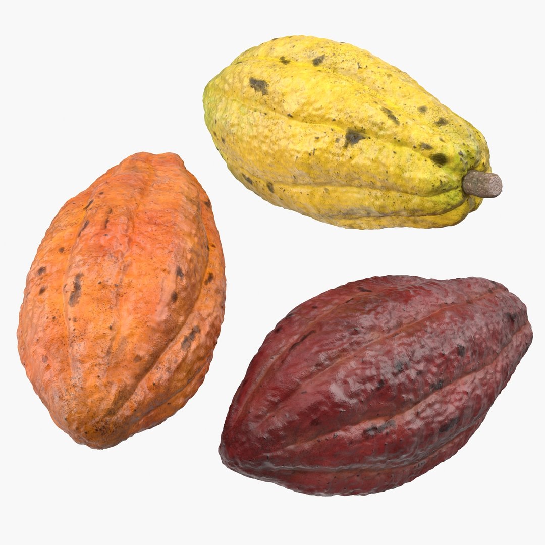 Cocoa Fruits Set 3D model preview