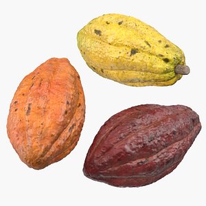 Cocoa Fruits Set
