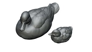 3D duckling duck 3D print model