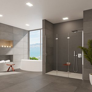 3D bathroom designed shower