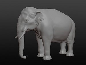 3D Asian elephant model